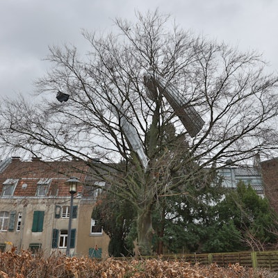 Teile eines Aludachs hängen in einem Baum fest.