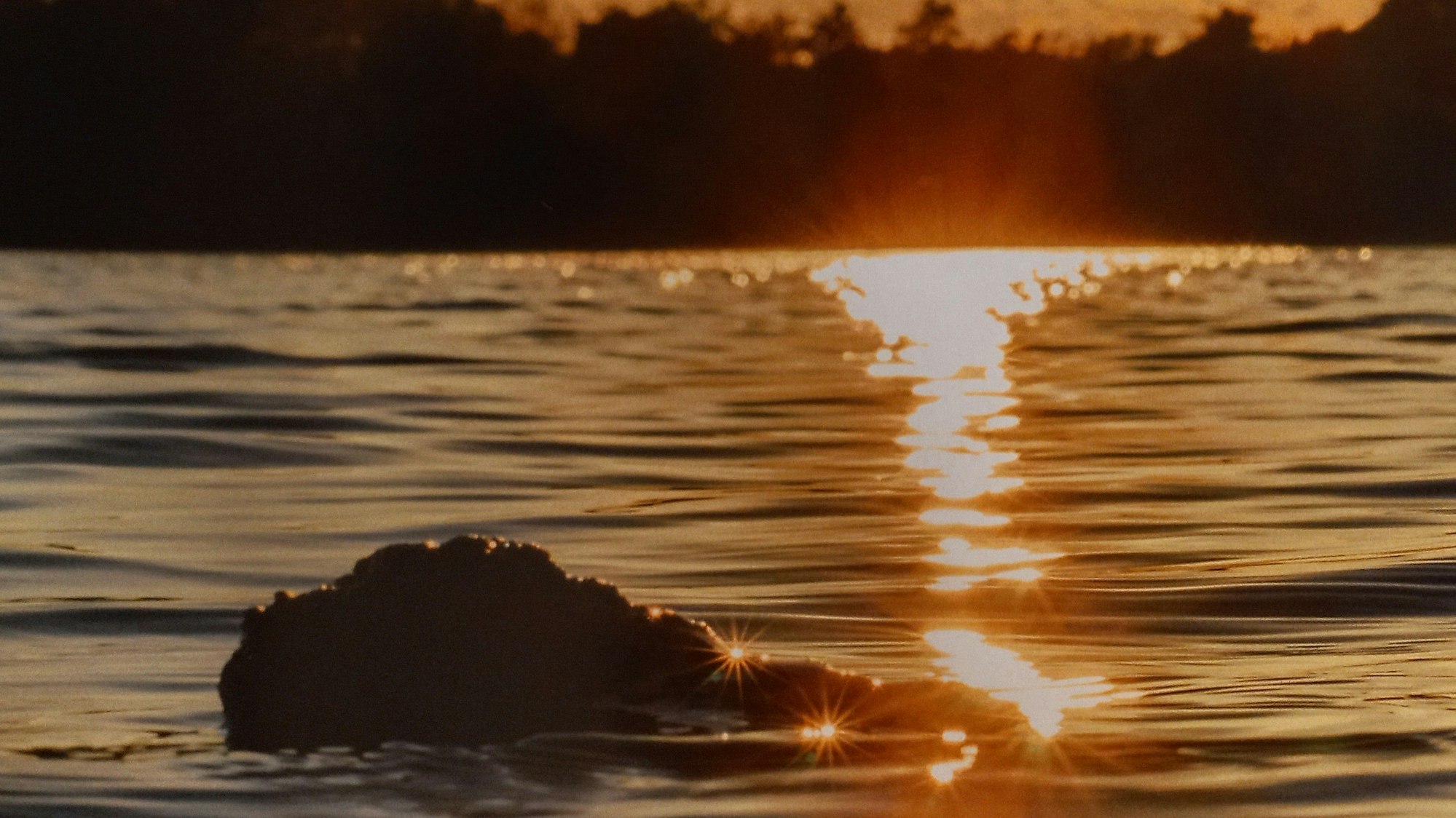 Blick auf eine Kalenderseite