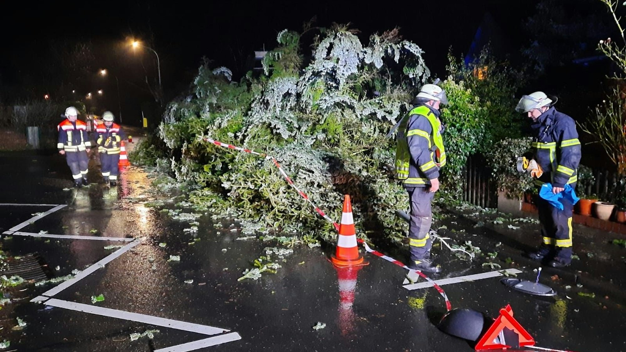 Eine Tanne mit massivem Durchmesser fällt in Ittenbach auf dem Ölbergringweg auf die Straße.