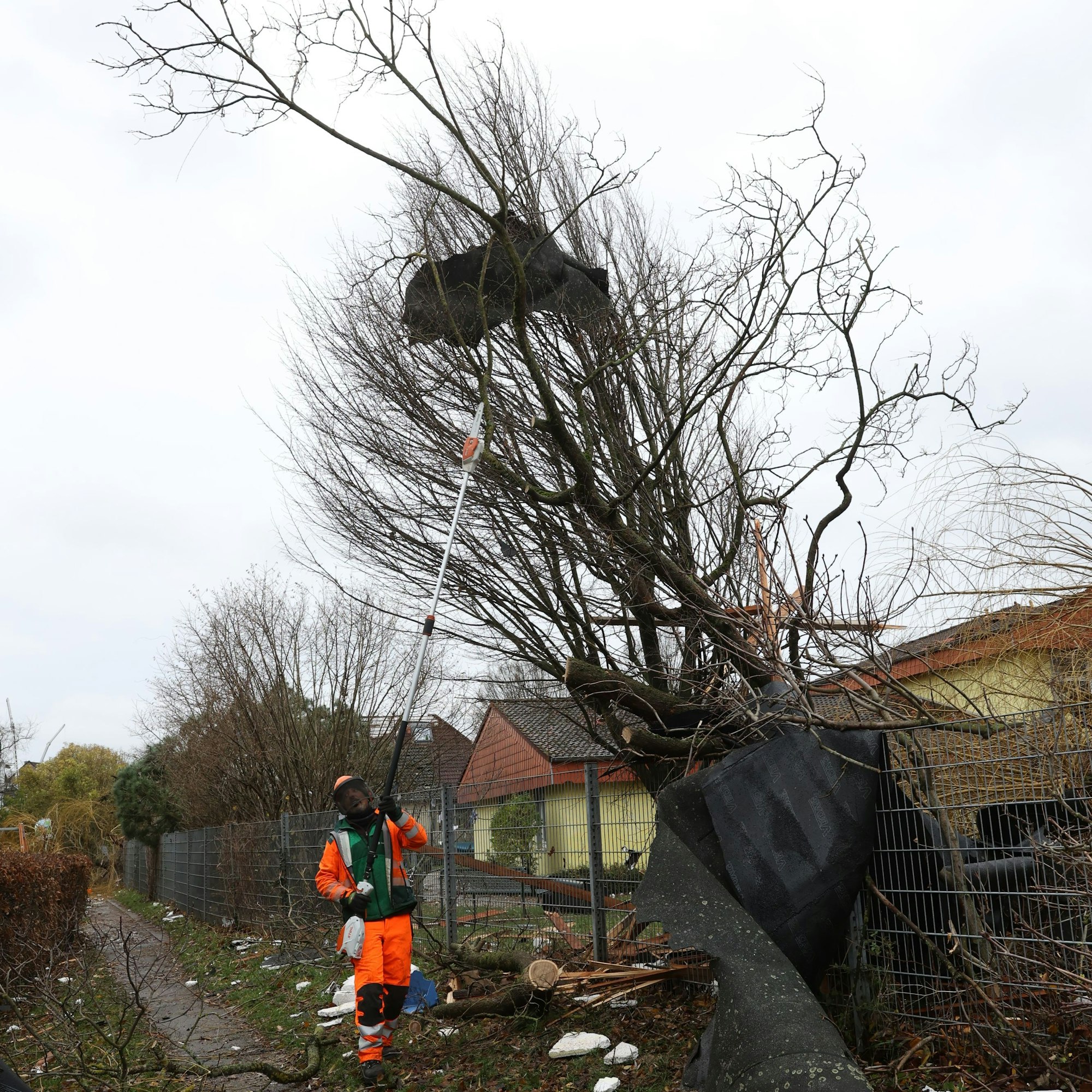 Ein Mann holt mit einer Stange ein Stück Dachpappe aus einem Baum.