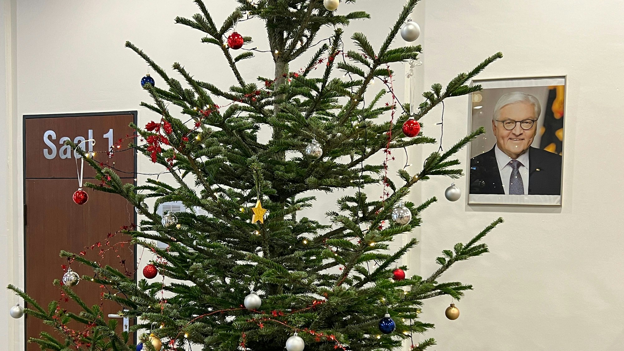 Ein Tannenbaum steht im Amtsgericht Leverkusen