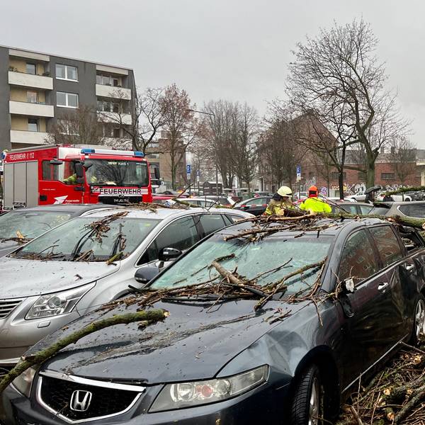 In Zollstock sind zahlreiche Äste von den Bäumen gestürzt und haben mehrere Autos beschädigt. Sturmtief Zoltan hatte am 21. Dezember 2023 Köln getroffen.