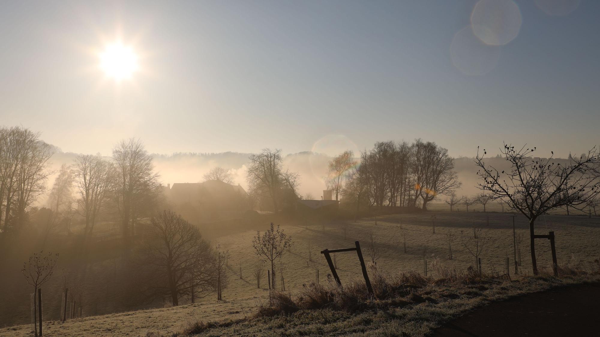 Sonne strahlt über eine raureifbedeckte Landschaft.