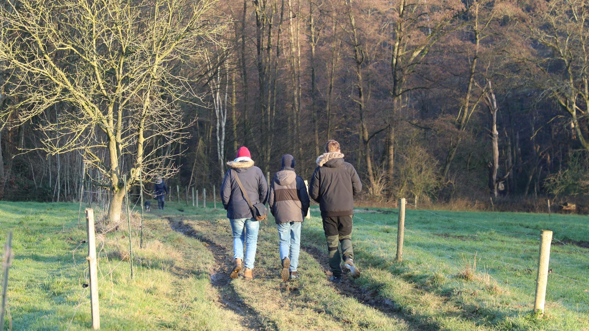 Drei Menschen gehen über einen Wiesenweg im Sonnenlicht Richtung Wald.