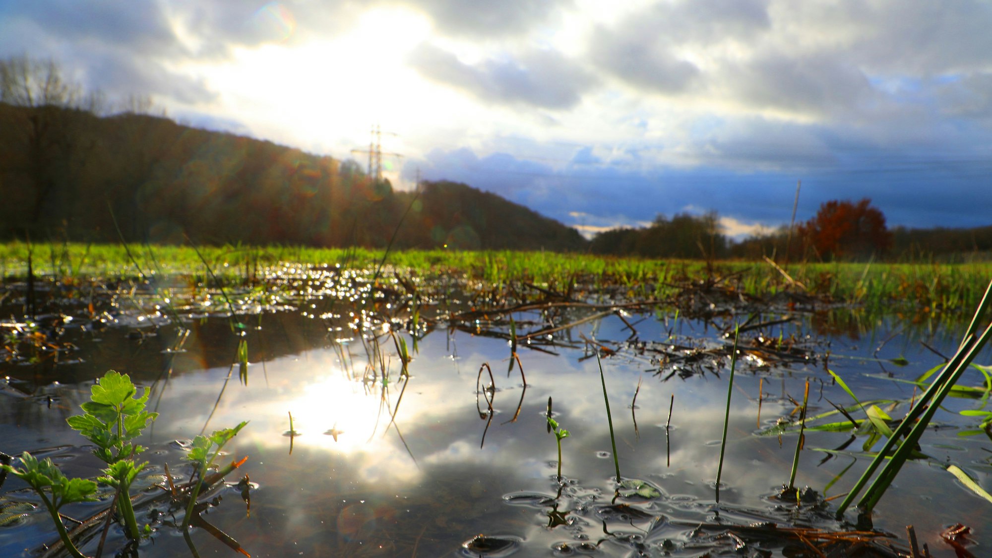 Sonne strahlt über eine Pfütze in einem Regenrückhaltebecken der Sülz in Rösrath-Venauen.