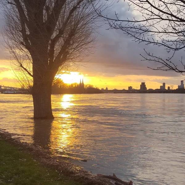 Hochwasser in Köln-Mülheim, 26.12.23