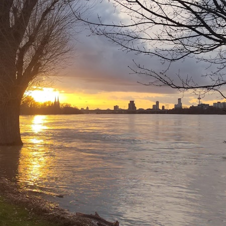 Hochwasser in Köln-Mülheim, 26.12.23