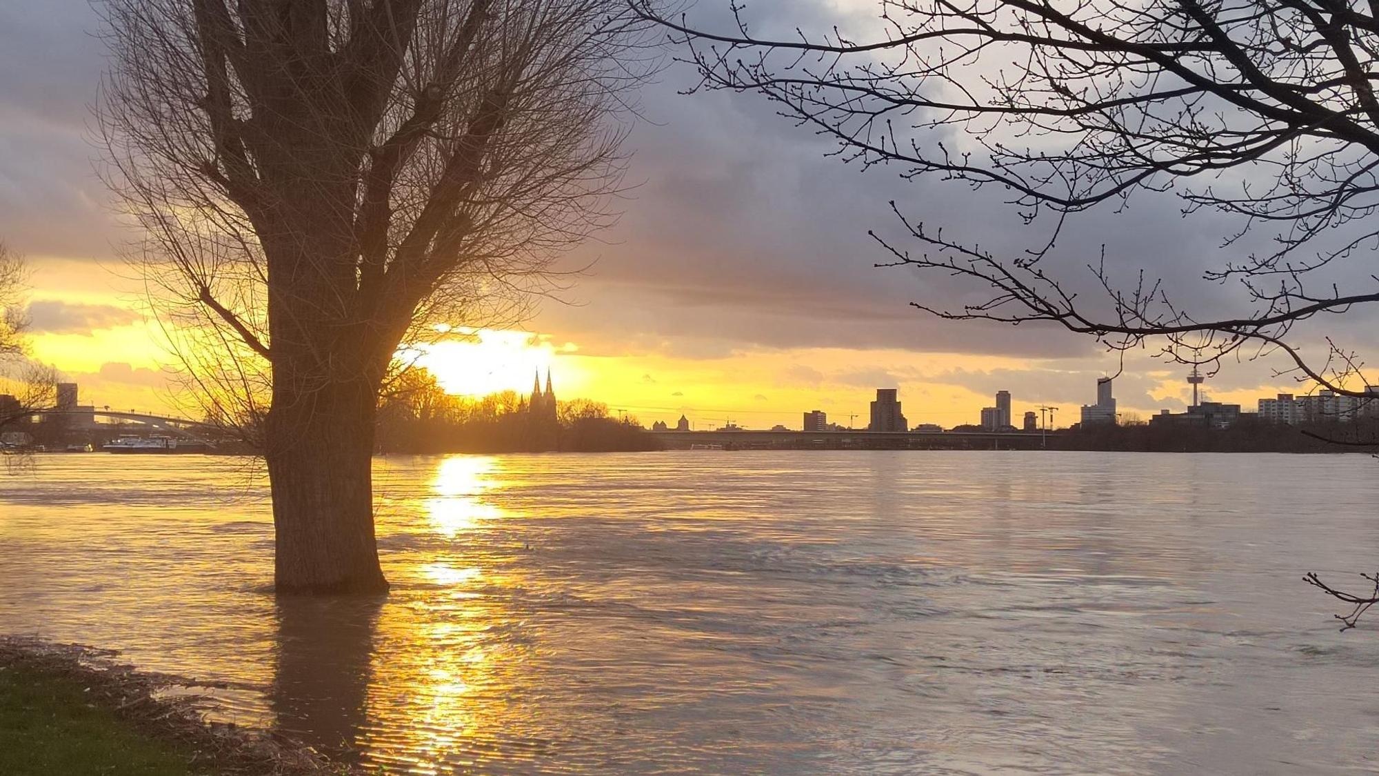 Hochwasser in Köln-Mülheim, 26.12.23