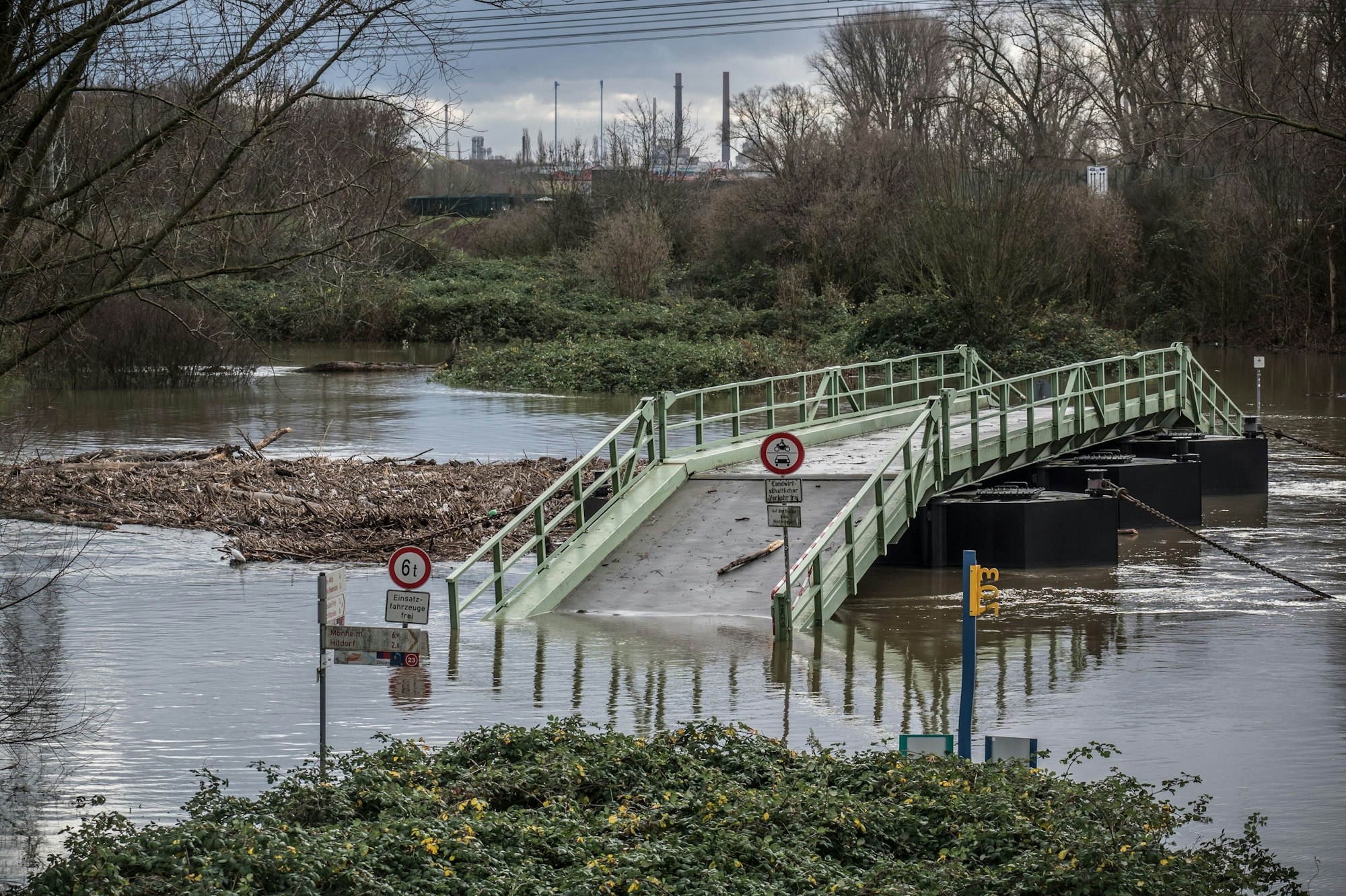 Vor der Pontonbrücke in Rheindorf sammelt sich viel Treibgut. Foto: Ralf Krieger