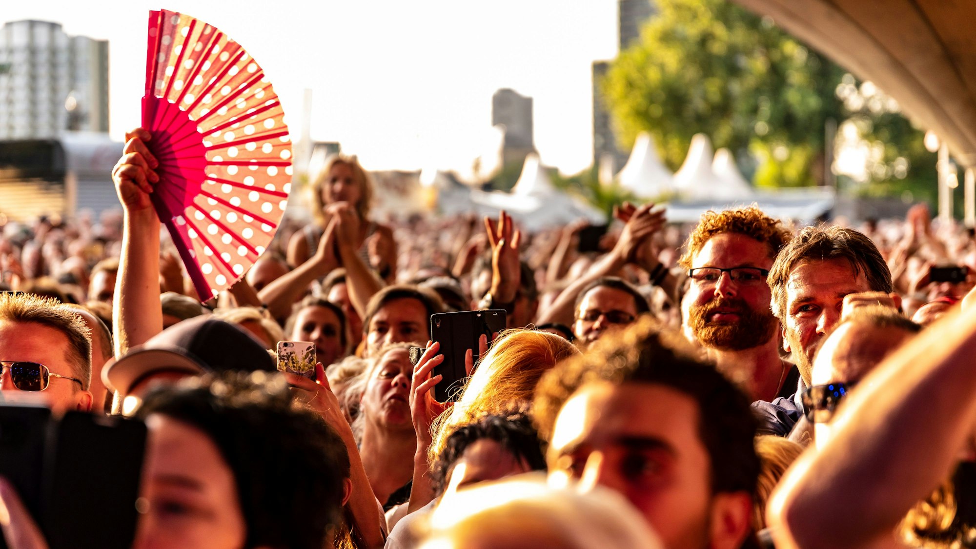 Menschenmenge bei einem Open-Air-Konzert.