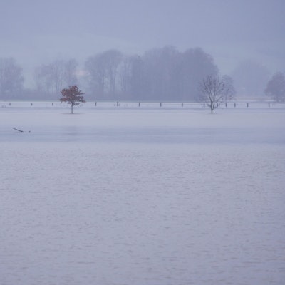 Die Weser hat Teile des Ortes Fuhlen in Niedersachsen überflutet. Der Pegel der Weser ist dort an mehreren Stellen auf mehr als sechs Meter gestiegen. Mehrere Orte haben die Vorstufe des Katastrophenalarms festgestellt.
