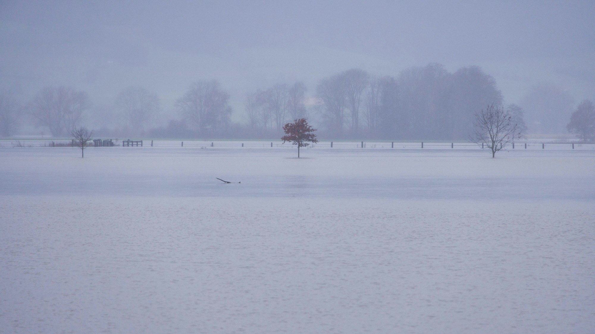 Die Weser hat Teile des Ortes Fuhlen in Niedersachsen überflutet. Der Pegel der Weser ist dort an mehreren Stellen auf mehr als sechs Meter gestiegen. Mehrere Orte haben die Vorstufe des Katastrophenalarms festgestellt.