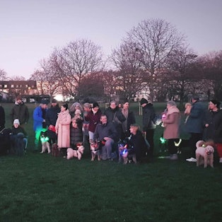 Herrchen und Hunde stehen mit Protestschildern im Park.