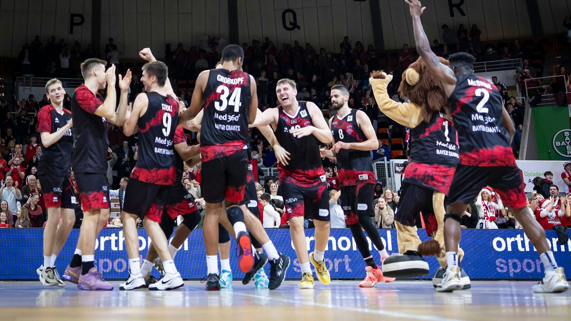 Basketball ProB Nord, Bayer Giants Leverkusen vs. Rheinstars Köln, 23.12.23 Die Bayer Giants freuen sich über den Derbysieg 72:64 Leverkusen, 23.12.23 - Basketball ProB Nord, Bayer Giants Leverkusen vs. Rheinstars Köln. *** Basketball ProB North, Bayer Giants Leverkusen vs Rheinstars Cologne, 23 12 23 The Bayer Giants are delighted with their derby win 72 64 Leverkusen, 23 12 23 Basketball ProB North, Bayer Giants Leverkusen vs Rheinstars Cologne Copyright: xBEAUTIFULxSPORTS/AxelxKohringx