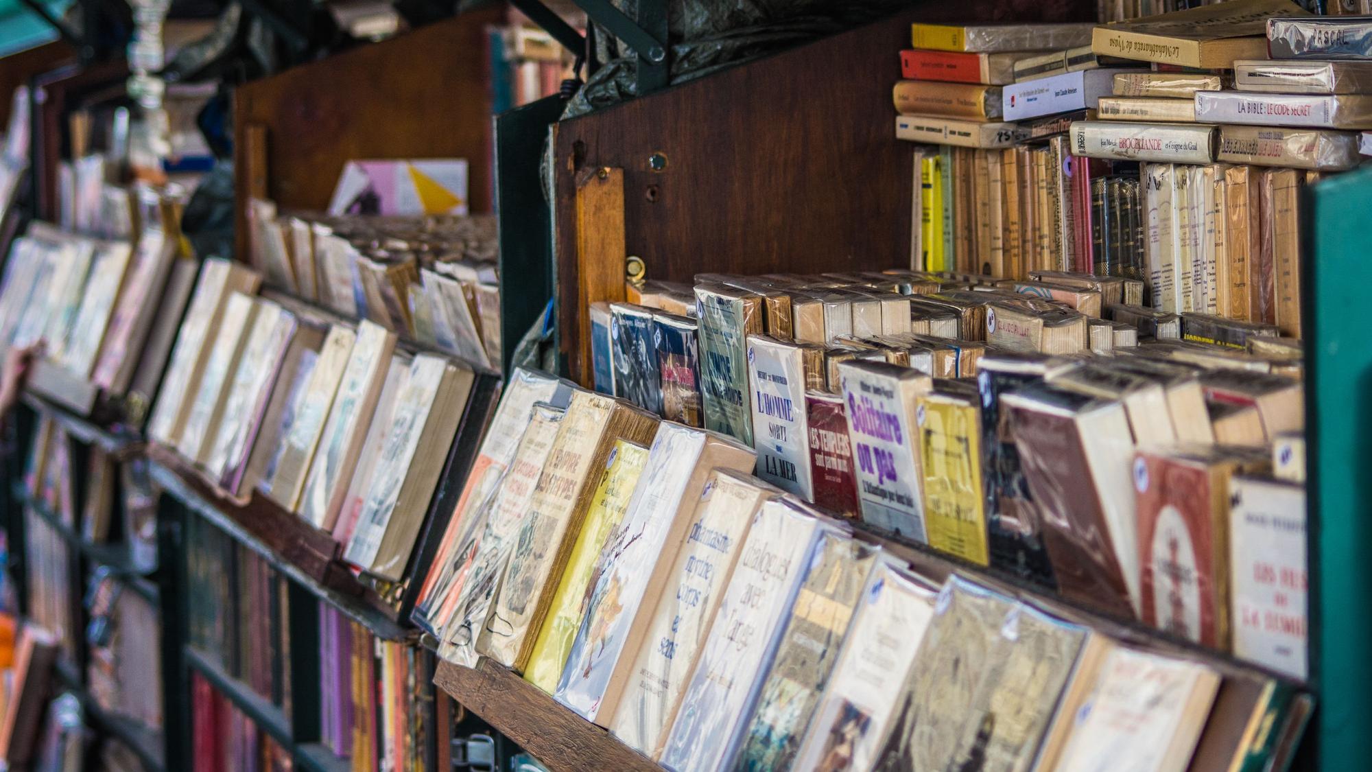 Traditioneller Buchstand an der Seine