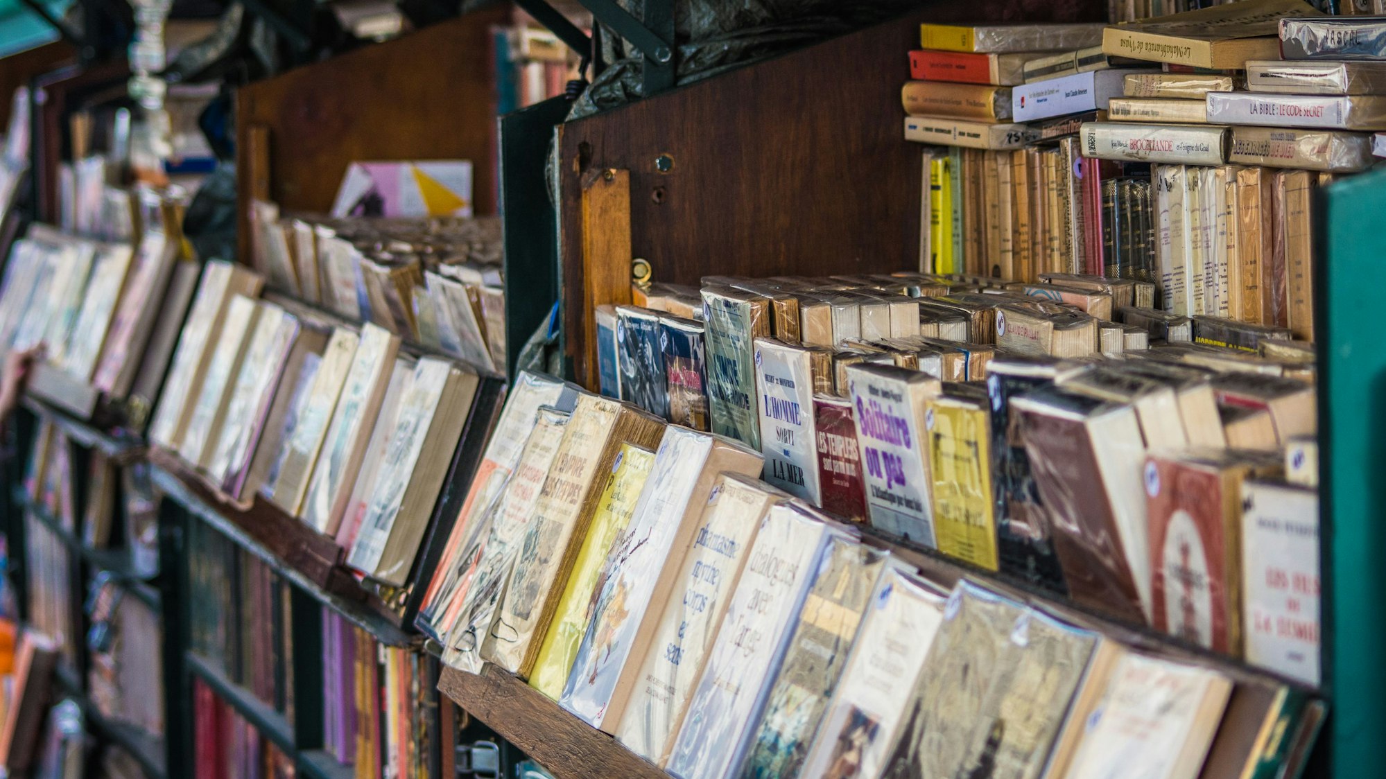 Traditioneller Buchstand an der Seine