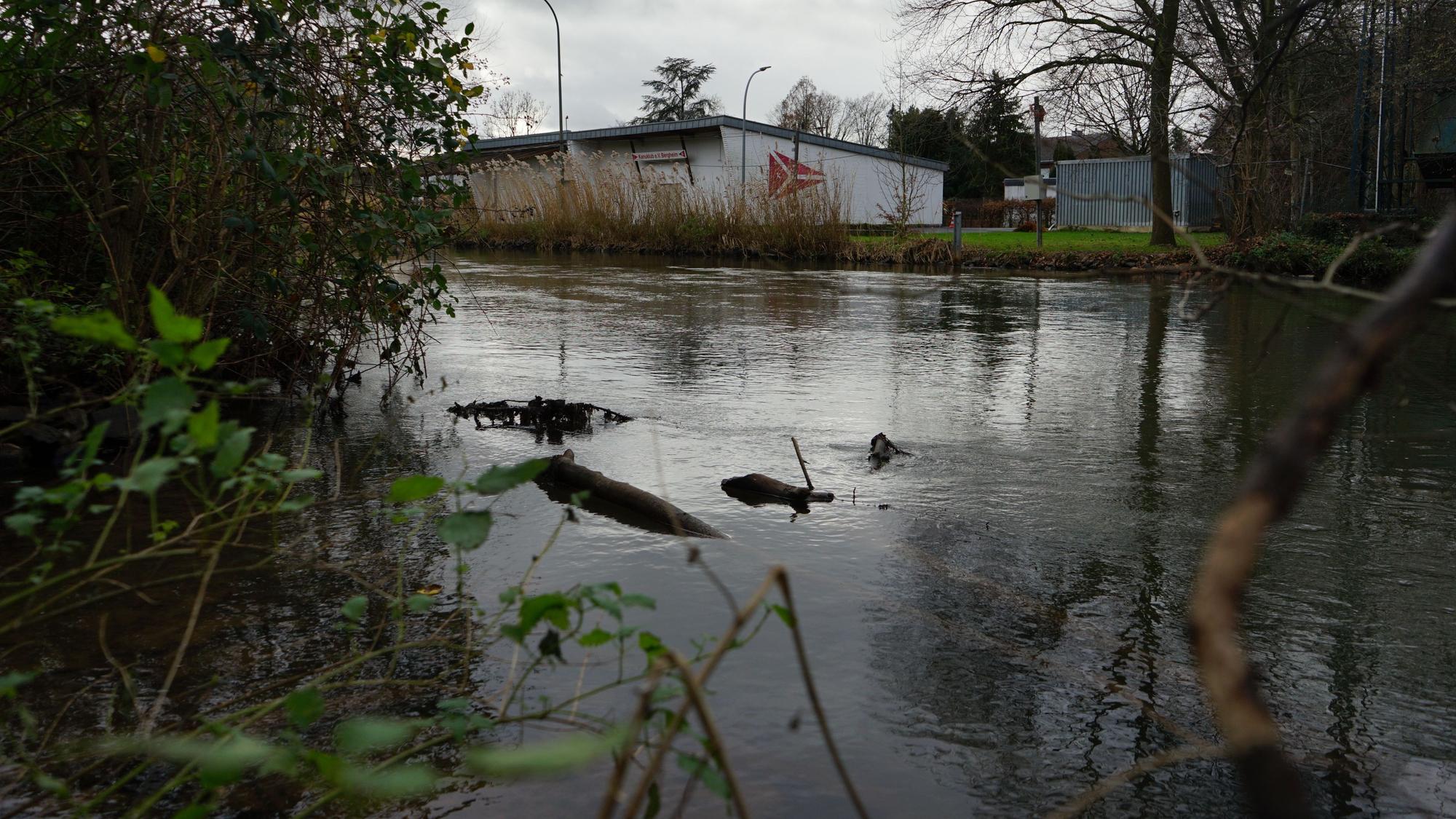 Die Erft bei Bergheim-Zieverich.