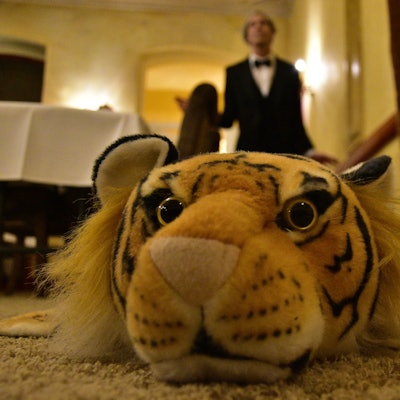 Ein Stofftiger liegt auf dem Fußboden.