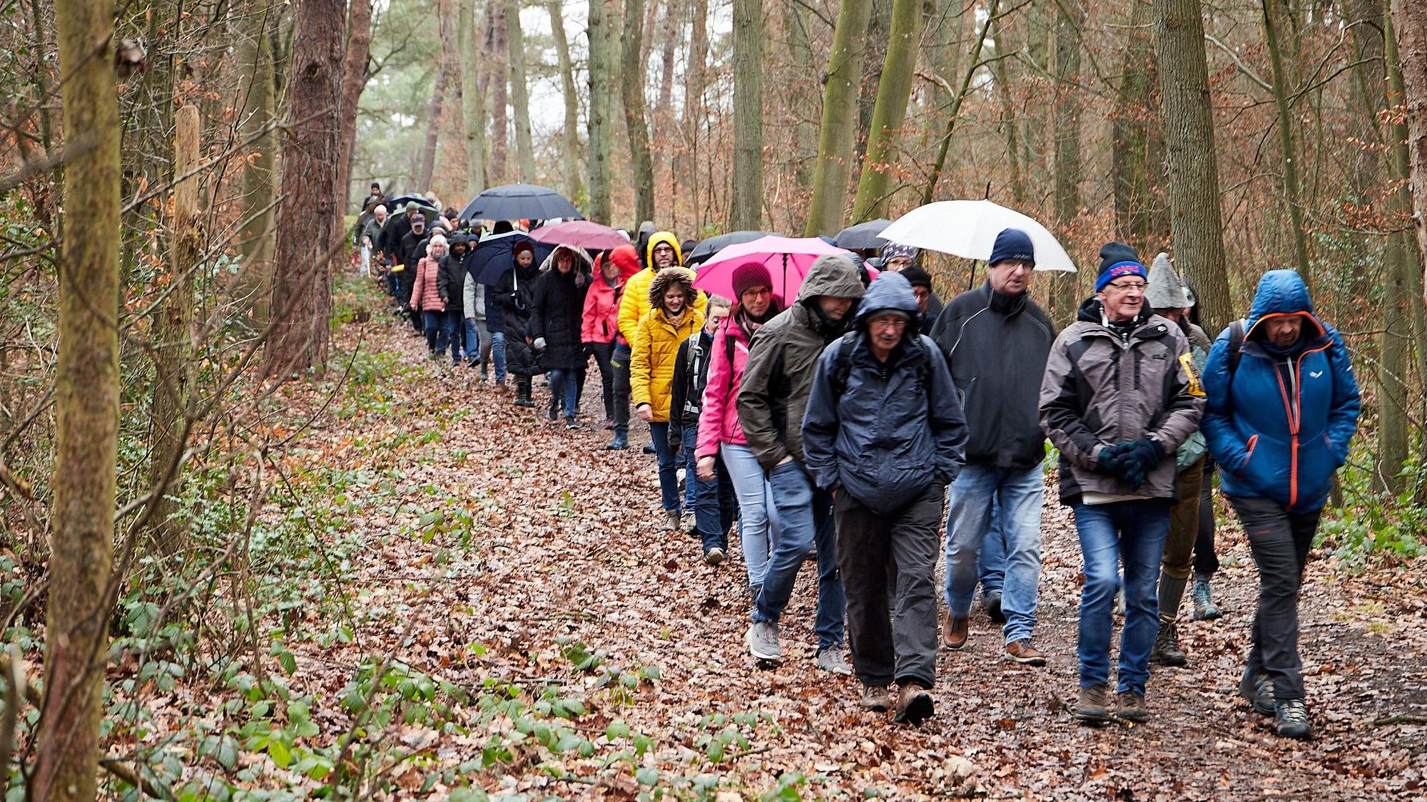 Das Bild zeigt eine große Wandergruppe, die durch den Wald geht.