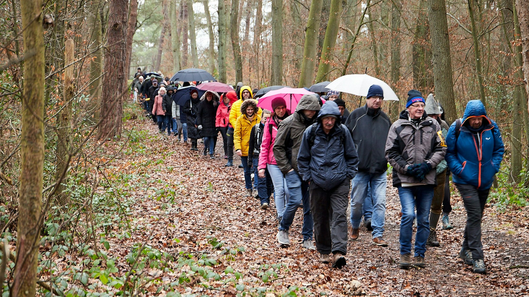 Das Bild zeigt eine große Wandergruppe, die durch den Wald geht.