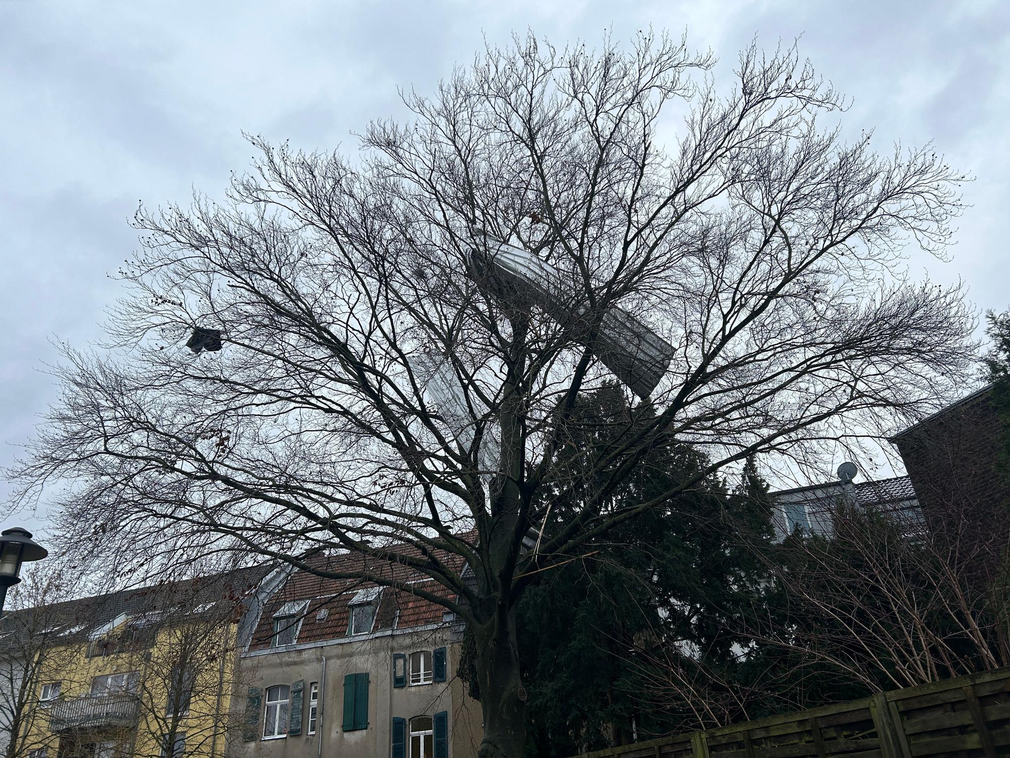 Blechteil in einem Baum