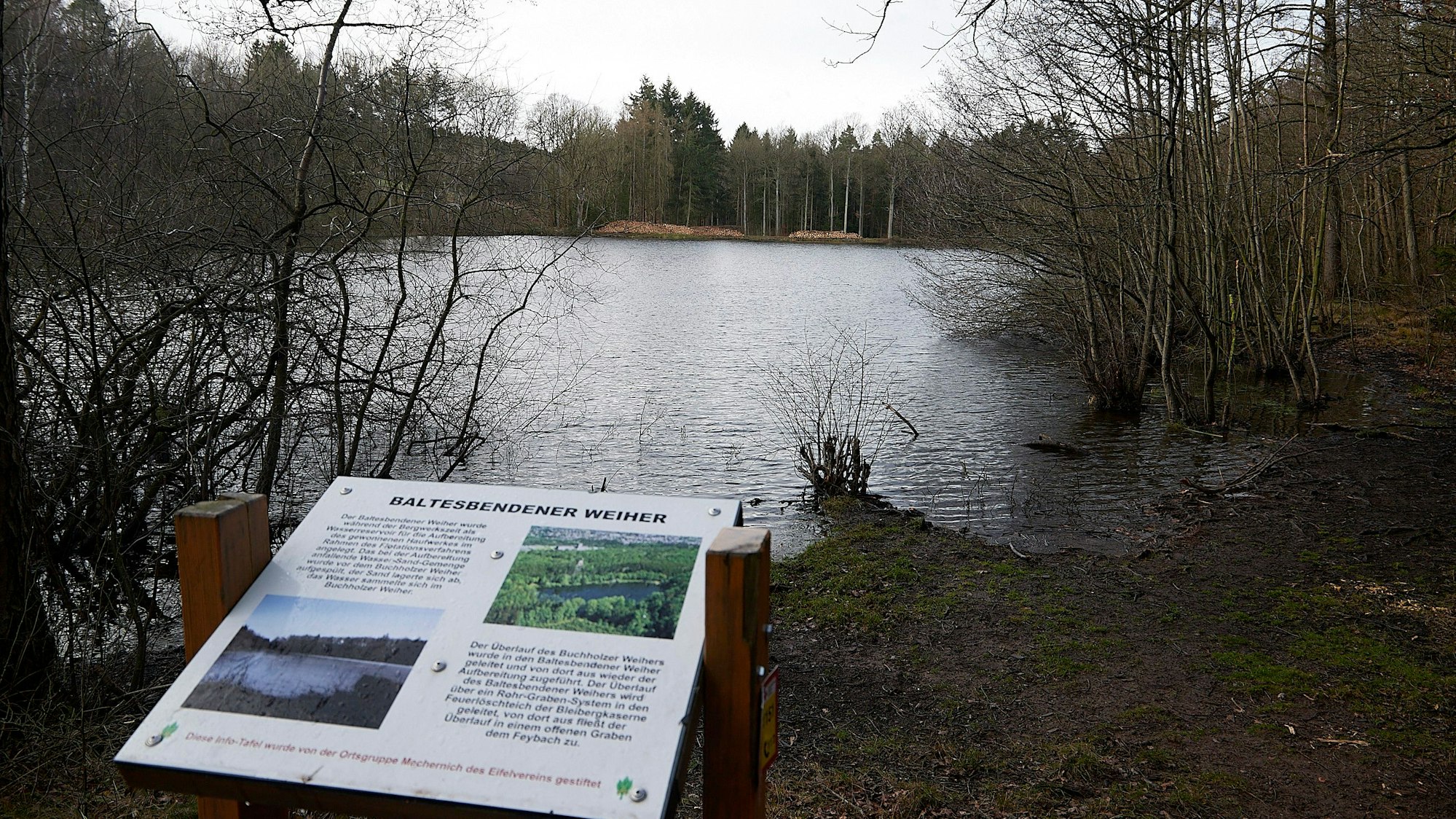 Das Bild zeigt den Baltesbendener Weiher und eine eine Info-Tafel am Ufer.