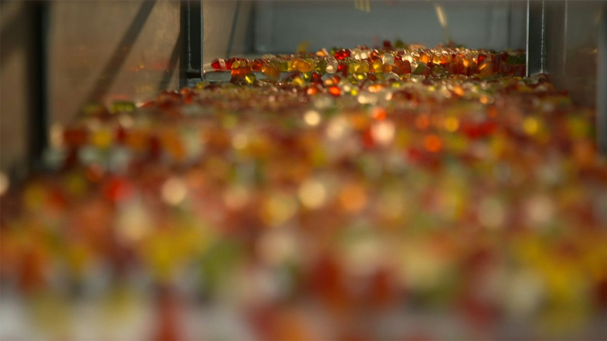 Haribo-Goldbären laufen in der Produktion vom Band.