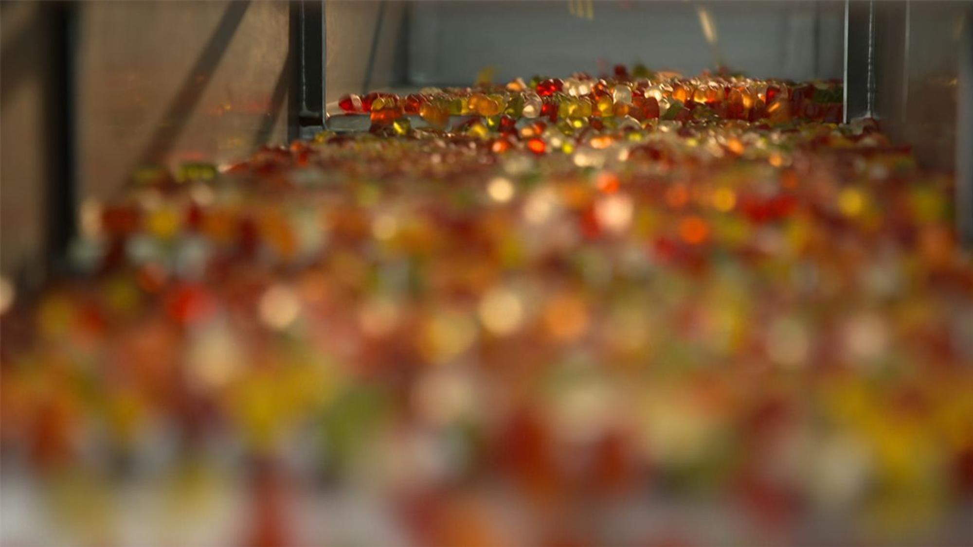 Haribo-Goldbären laufen in der Produktion vom Band.