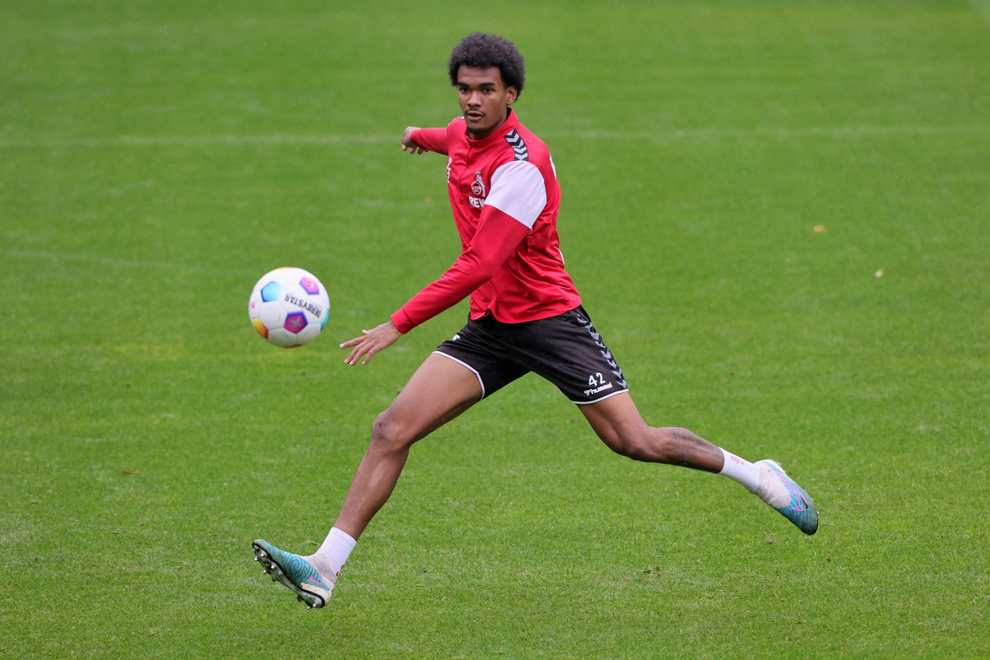 1. FC Köln, Training, Damion Downs (1. FC Köln). 01.09.2023, Bild: Herbert Bucco