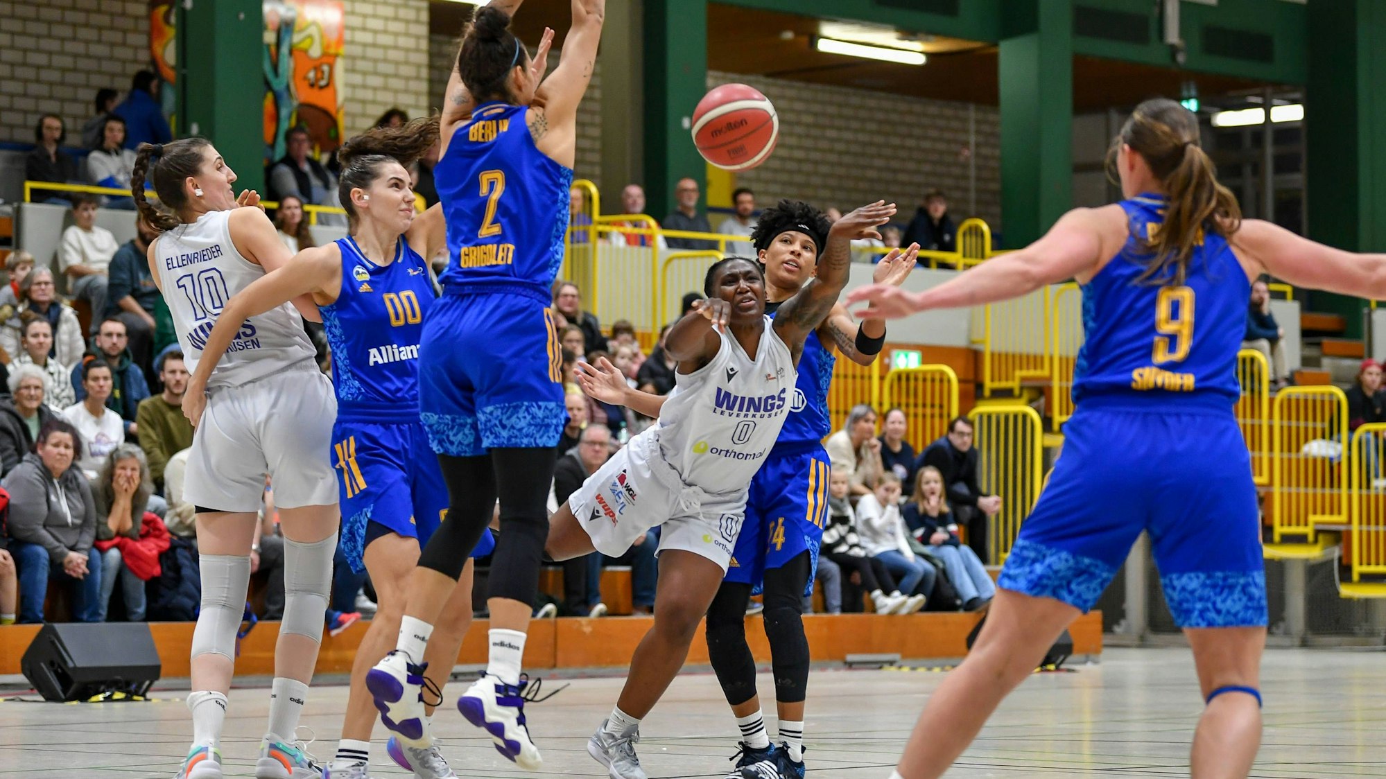 Sport Bilder des Tages 1. Damen Basketball Bundesliga: Orthomol WINGS Leverkusen vs. ALBA Berlin, 30.12.2023 Jamie Janesse Cherry Orthomol WINGS Leverkusen 0,1. Damen Basketball Bundesliga: Orthomol WINGS Leverkusen vs. ALBA Berlin am 30.12.2023 in der Sporthalle Werner-Heisenberg-Gymnasium in Opladen Nordrhein-Westfalen *** 1 Womens Basketball Bundesliga Orthomol WINGS Leverkusen vs ALBA Berlin, 30 12 2023 Jamie Janesse Cherry Orthomol WINGS Leverkusen 0 ,1 Womens Basketball Bundesliga Orthomol WINGS Leverkusen vs ALBA Berlin on 30 12 2023 at the Sporthalle Werner Heisenberg Gymnasium in Opladen Nordrhein Westfalen Copyright: xBEAUTIFULxSPORTS/Mueller-Laschetx