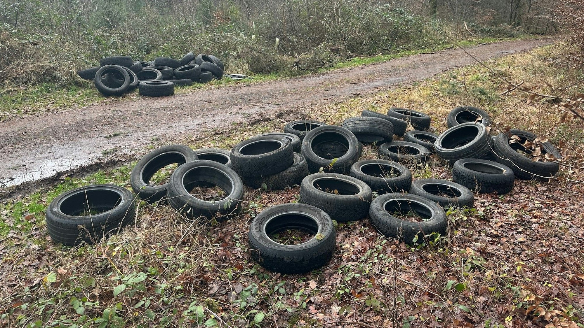 Mitarbeiter der Stadt Siegburg sammelten die Reifen, um sie dann im Troisdorfer Wertstoffhof zu entsorgen.