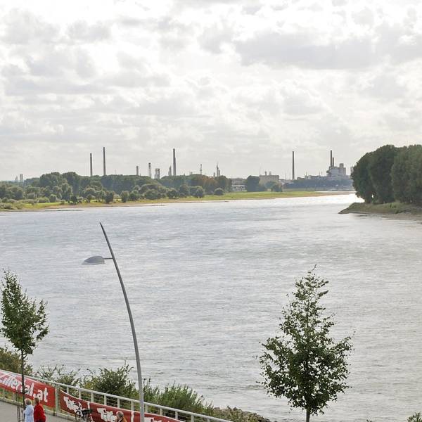 Blick auf den Rhein bei Monheim, wo die toten Hundewelpen gefunden wurden (Archivfoto).
