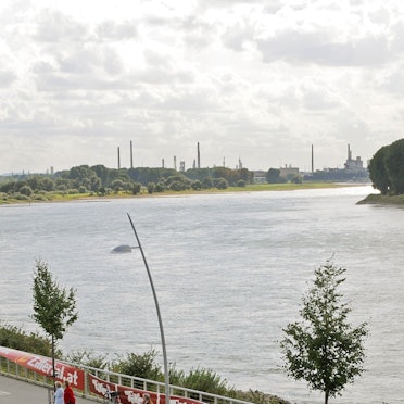 Blick auf den Rhein bei Monheim, wo die toten Hundewelpen gefunden wurden (Archivfoto).