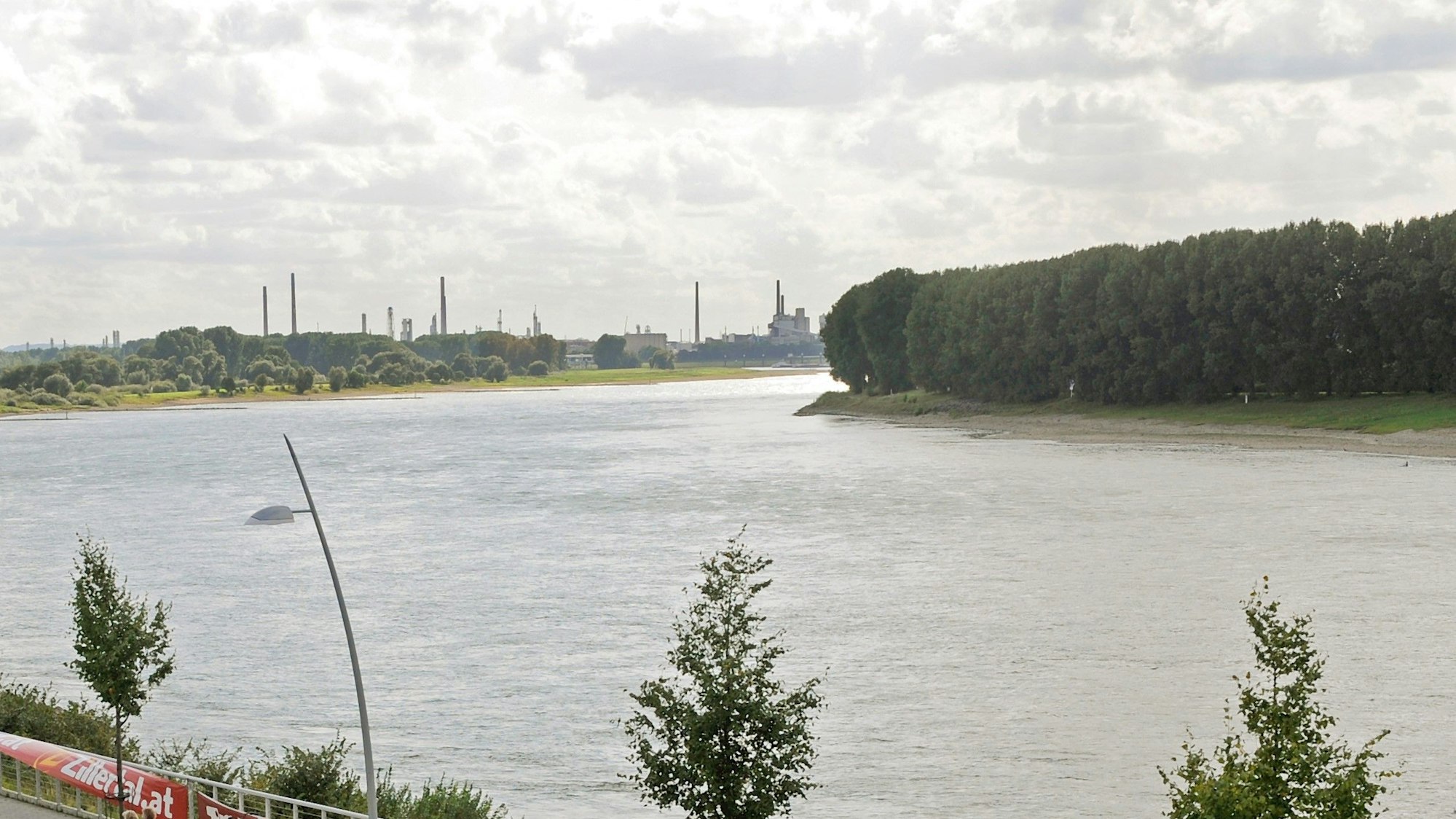 Blick auf den Rhein bei Monheim, wo die toten Hundewelpen gefunden wurden (Archivfoto).
