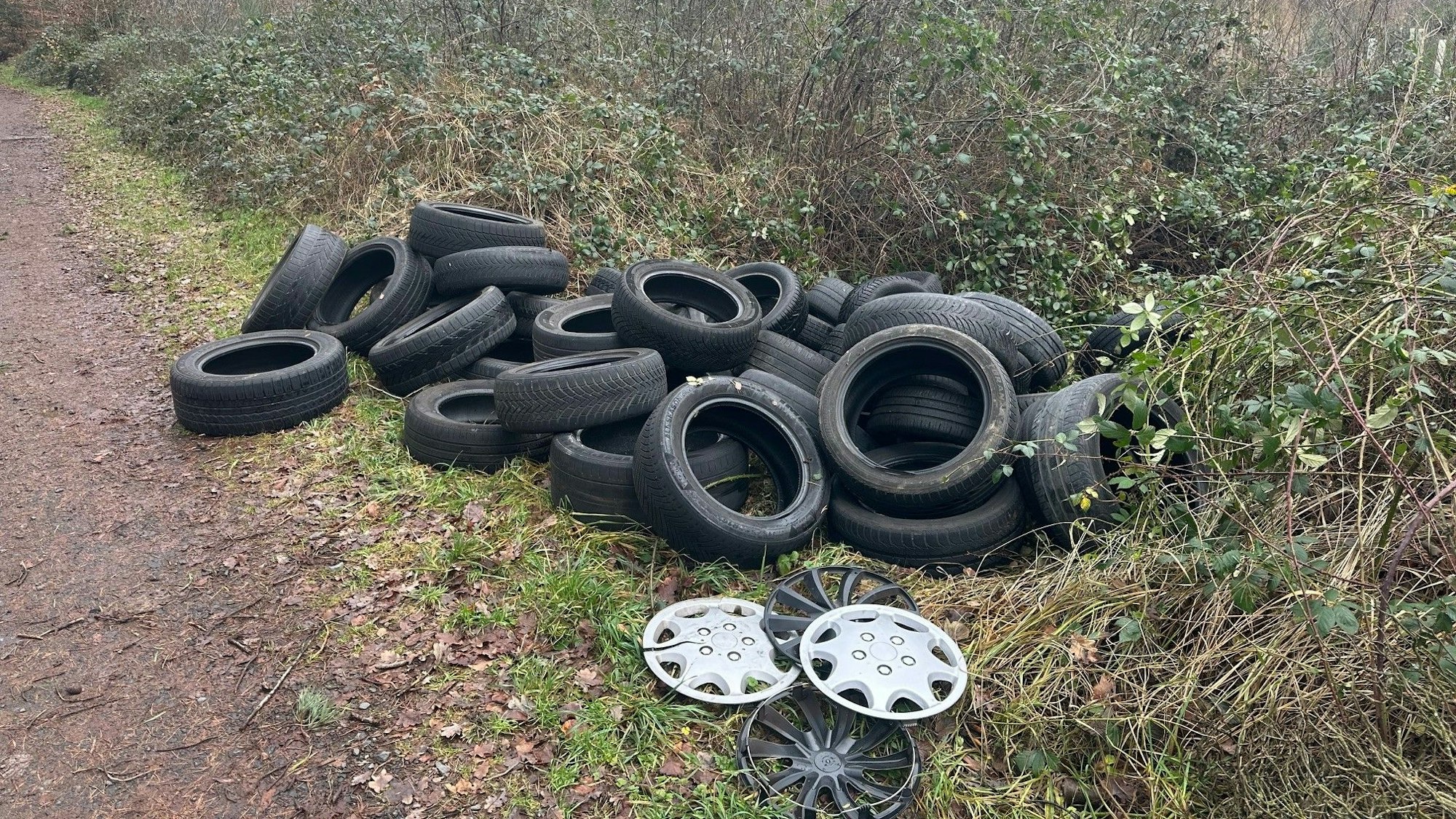 An einem Waldweg im Siegburger Wald unweit der Trinkwasseraufbereitungsanlage Siegelsknippen haben Unbekannte zirka 80 Reifen illegal abgeladen.