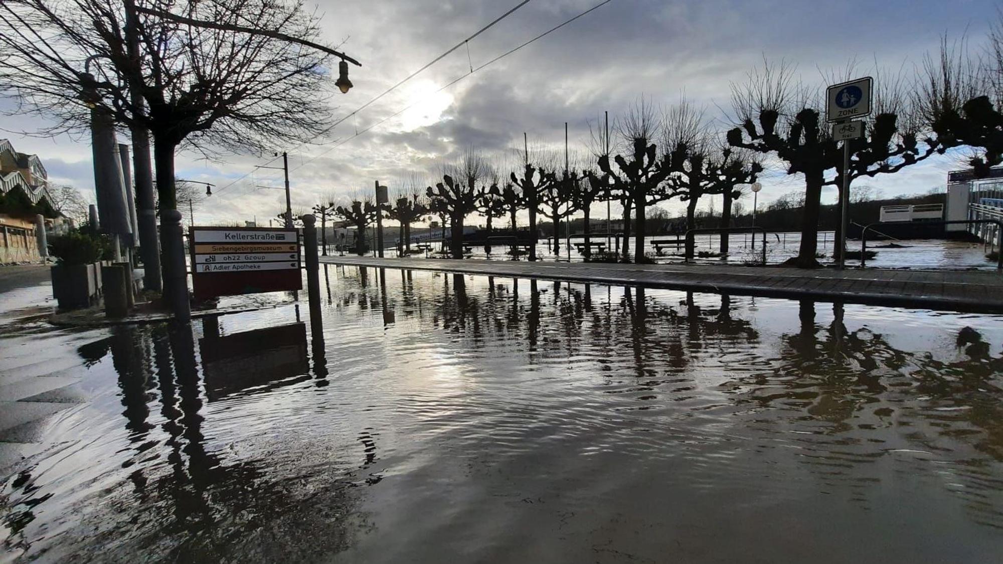 Auf einer Straße steht das Wasser, im Hintergrund sind die Bäume auf der Rheinpromenade zu sehen,