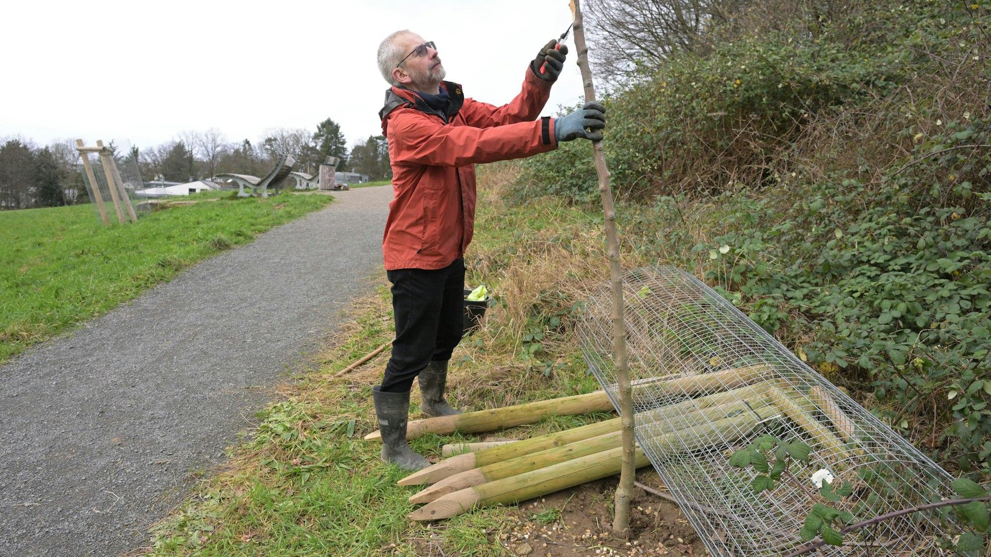 Das Foto zeigt einen im Stadtgarten Bensberg zerstörten Apfelbaum.