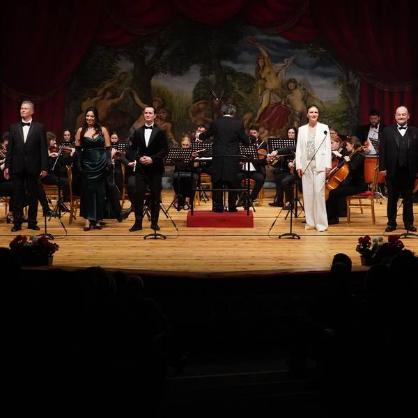 Musiker des Ensembles Johann-Strauss-Operette Wien stehen auf der Bühne.