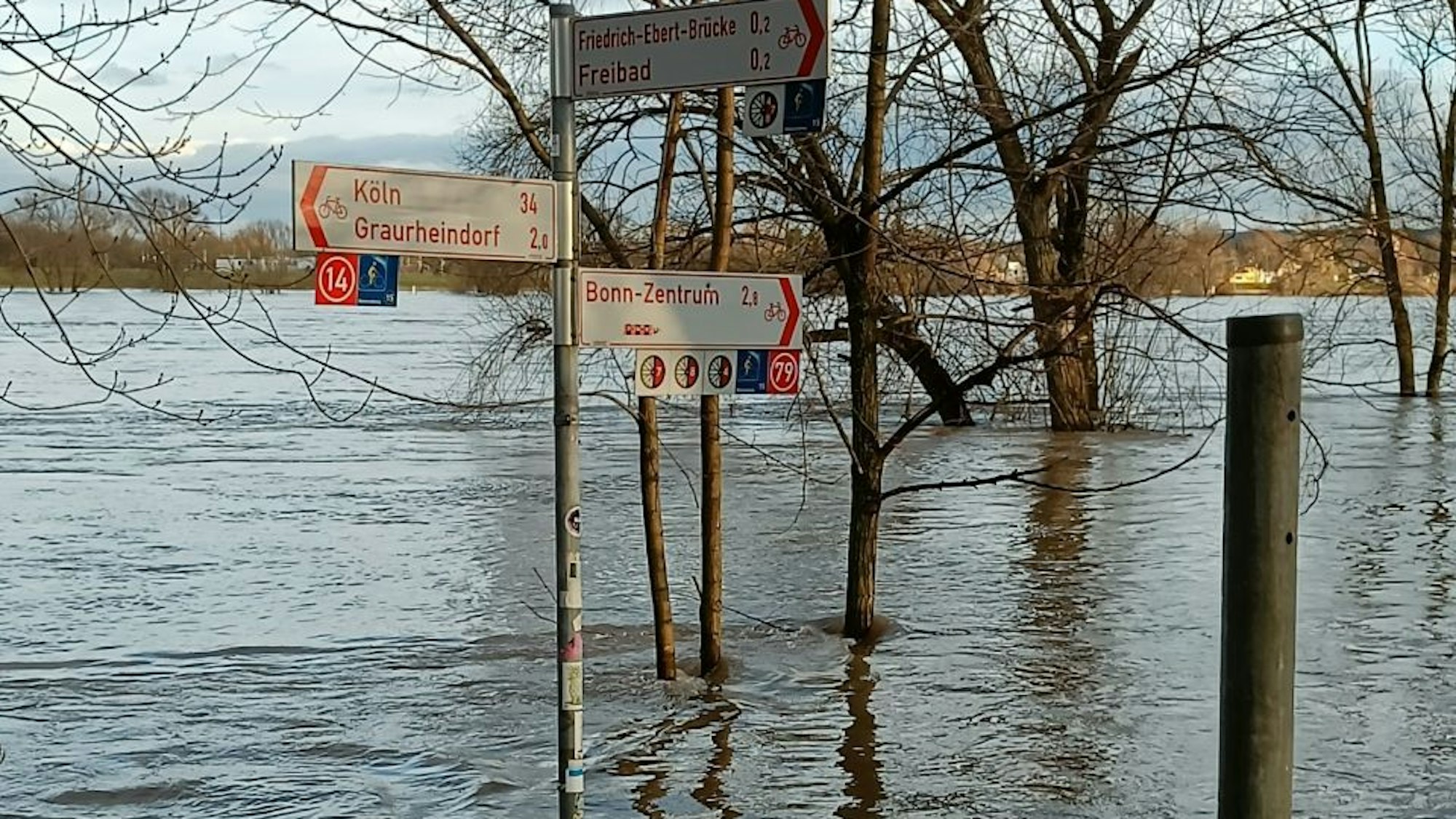 Wegschilder am Ufer stehen fast bis zur Hälfte in Rheinwasser.