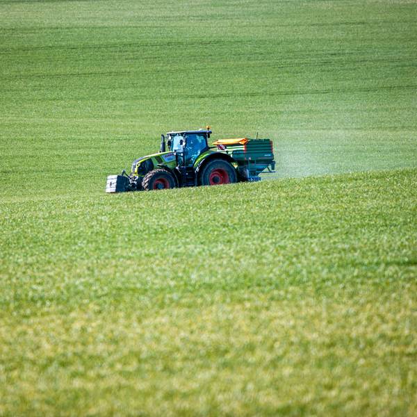 Ein Traktor mit einem Streuaufsatz verteilt Dünger auf einem Feld.