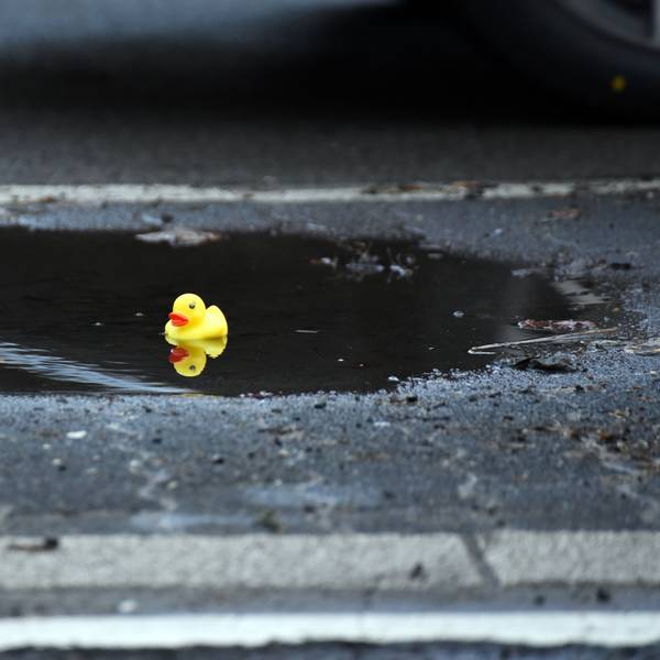 Zwar sind die Schlaglöcher in Oberbergs Straßen mit Regenwasser vollgelaufen, doch wird es erst gefährlich, wenn der Frost kommt. Unser Foto zeigt eine kleine Badeente, die in einer Lindlarer Pfütze treibt.