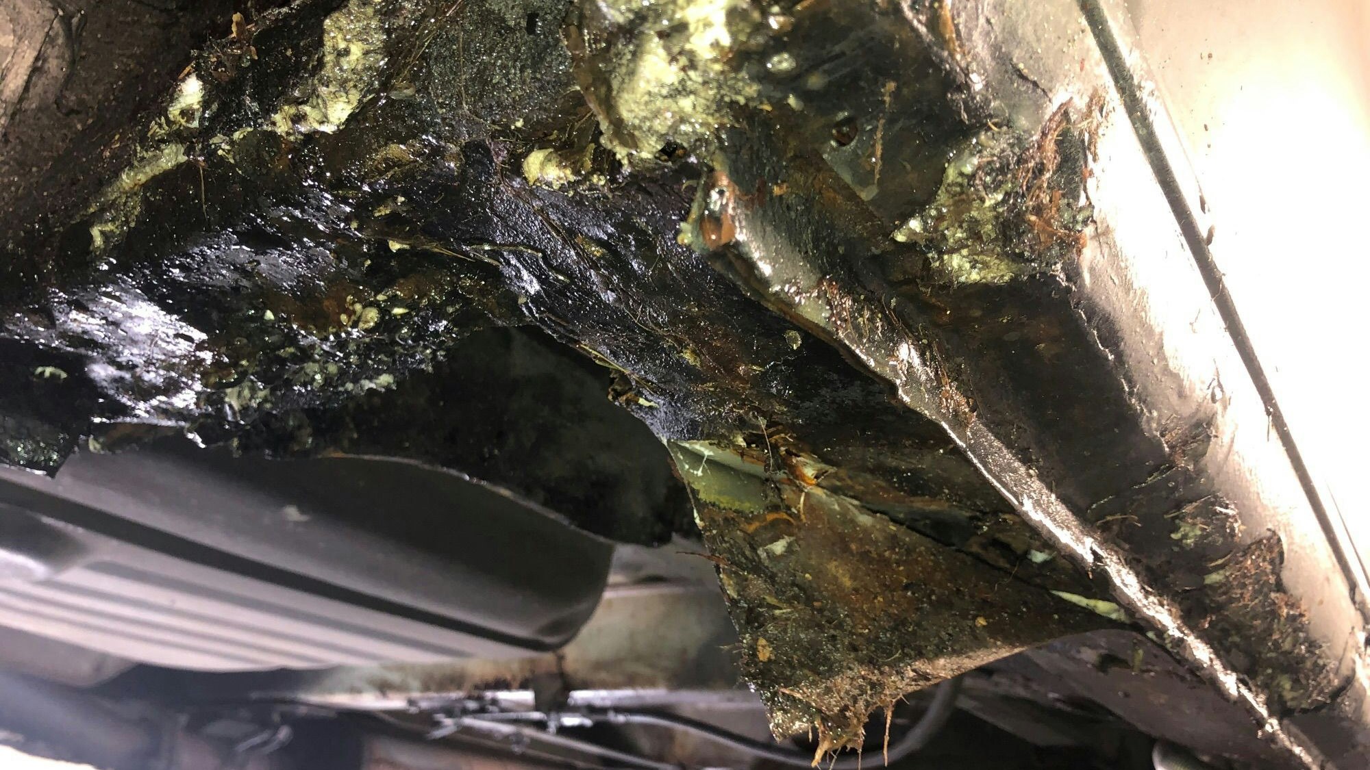 Der Unterboden war komplett durchgerostet und zum Teil großflächig mit Bauschaum verfüllt.