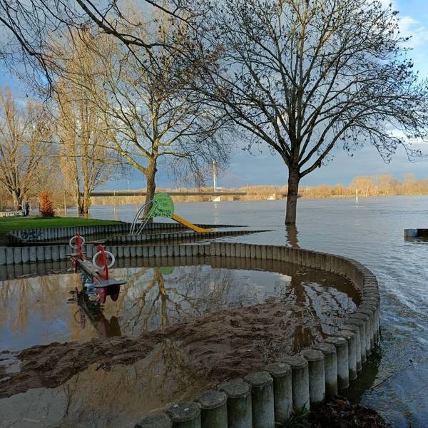 Wasser überflutet das Rheinufer in Bonn an der Nordbrücke und auch Teile eines Spielplatzes.