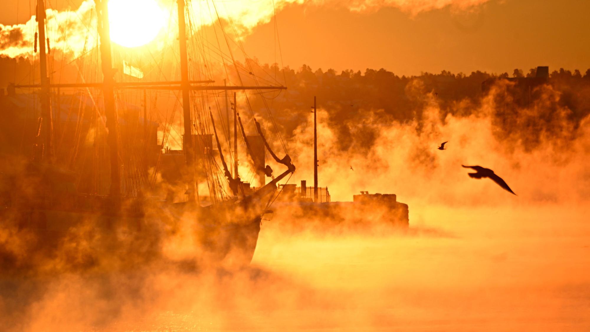 Dampf steigt im Hafen von Oslo aus dem Wasser. Die Morgensonne taucht die Szene bei ungewöhnlich tiefen Temperaturen in der norwegischen Hauptstadt in goldenes Licht.