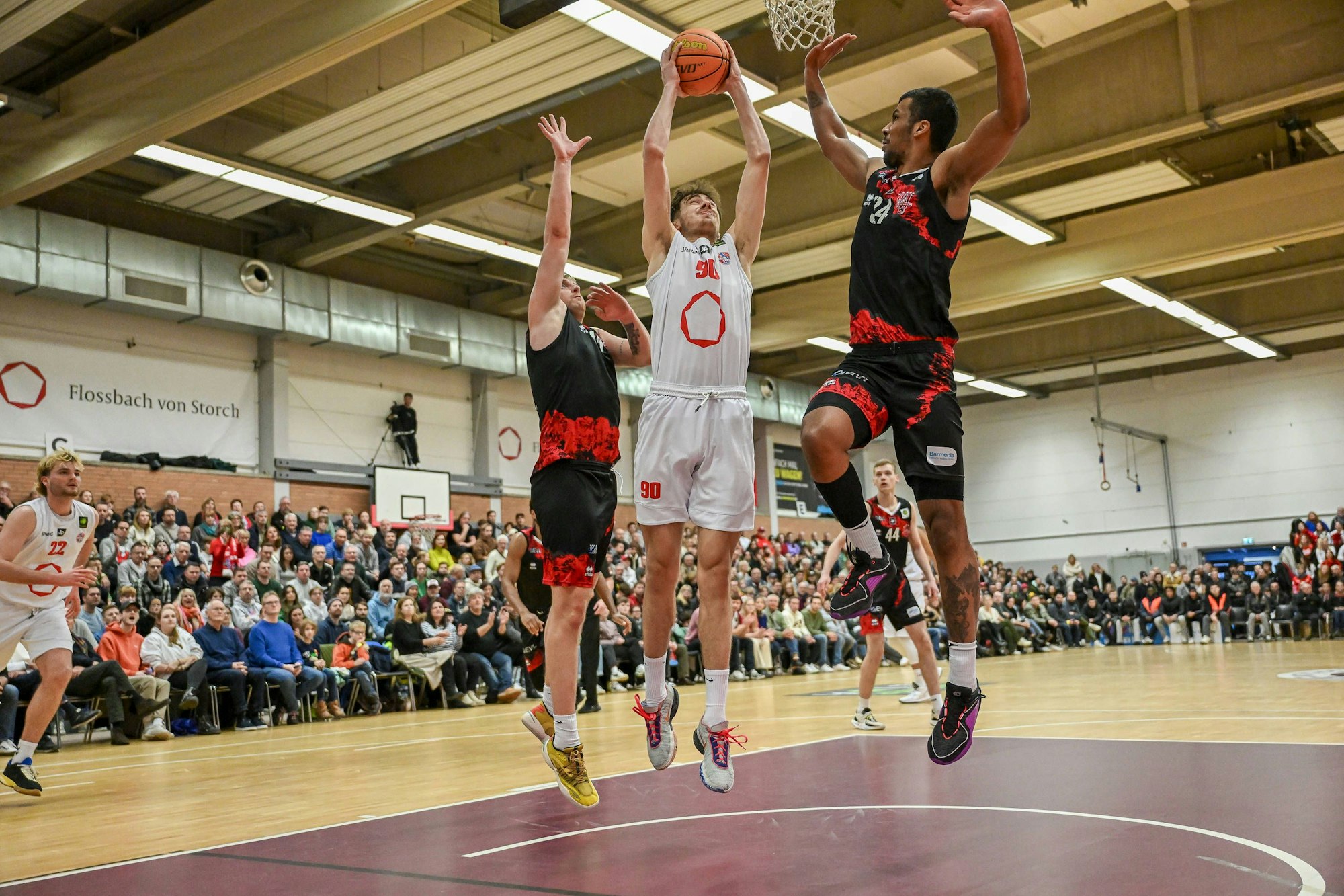 Barmer 2. Basketball Bundesliga ProB: Rheinstars Koeln vs. Bayer Giants Leverkusen, 06.01.2024 Jannis von Seckendorff RheinStars Koeln 90, Barmer 2. Basketball Bundesliga ProB: Rheinstars Koeln vs. Bayer Giants Leverkusen am 06.01.2024 im ASV Koeln in Koeln Nordrhein-Westfalen *** Barmer 2 Basketball Bundesliga ProB Rheinstars Koeln vs Bayer Giants Leverkusen, 06 01 2024 Jannis von Seckendorff RheinStars Koeln 90 , Barmer 2 Basketball Bundesliga ProB Rheinstars Koeln vs Bayer Giants Leverkusen on 06 01 2024 at ASV Koeln in Koeln North Rhine-Westphalia Copyright: xBEAUTIFULxSPORTS/Mueller-Laschetx