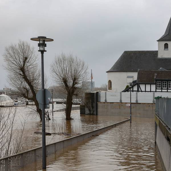 Die Promenade in Köln Rodenkirchen ist vom Hochwasser überflutet. Gehwege sind nicht mehr betretbar und Bäume ragen aus dem Wasser.