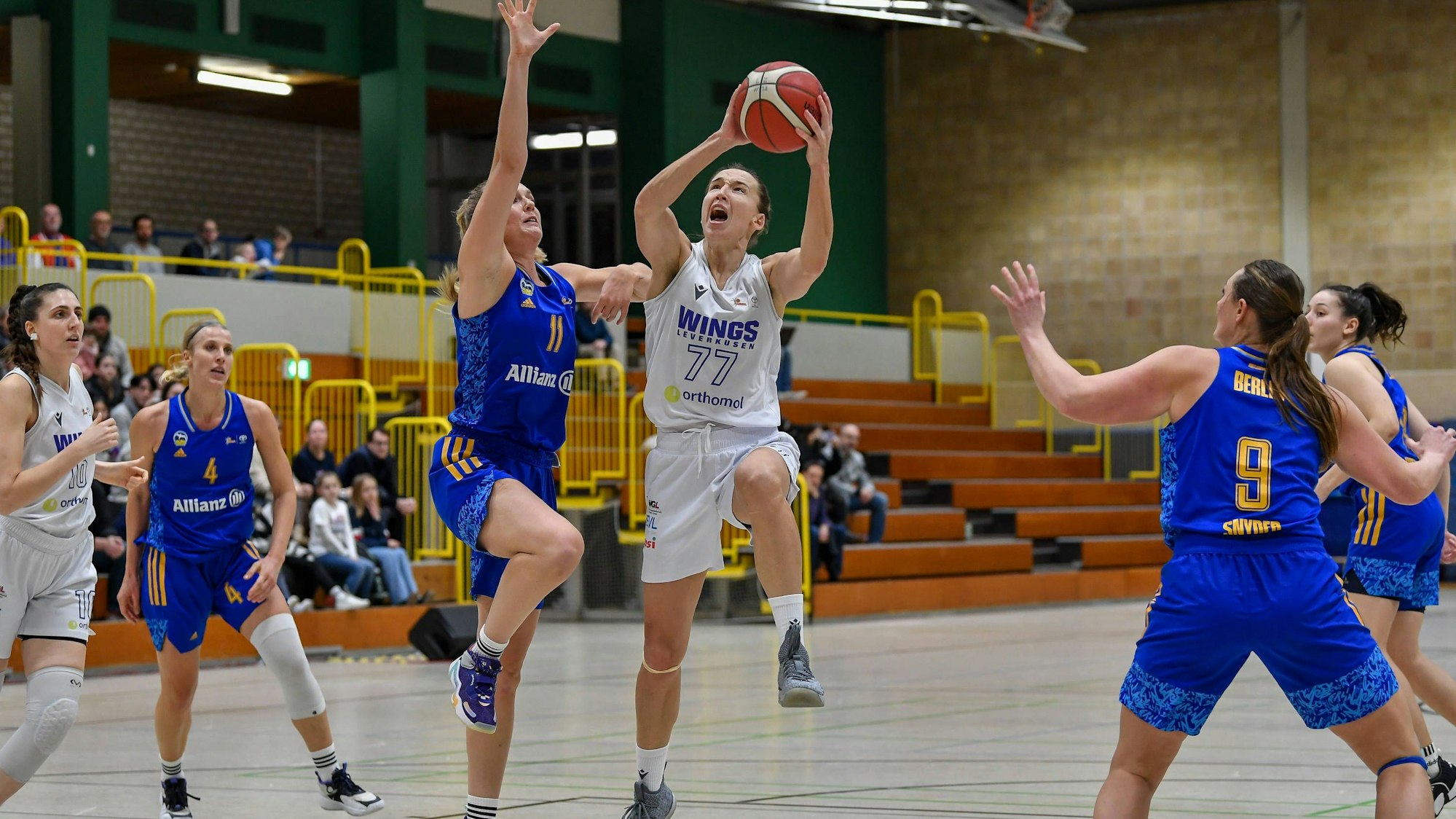 1. Damen Basketball Bundesliga: Orthomol WINGS Leverkusen vs. ALBA Berlin, 30.12.2023 Mante Kvederaviciute Orthomol WINGS Leverkusen 77, 1. Damen Basketball Bundesliga: Orthomol WINGS Leverkusen vs. ALBA Berlin am 30.12.2023 in der Sporthalle Werner-Heisenberg-Gymnasium in Opladen Nordrhein-Westfalen *** 1 Womens Basketball Bundesliga Orthomol WINGS Leverkusen vs ALBA Berlin, 30 12 2023 Mante Kvederaviciute Orthomol WINGS Leverkusen 77 , 1 Womens Basketball Bundesliga Orthomol WINGS Leverkusen vs ALBA Berlin on 30 12 2023 at the Sporthalle Werner Heisenberg Gymnasium in Opladen Nordrhein Westfalen Copyright: xBEAUTIFULxSPORTS/Mueller-Laschetx