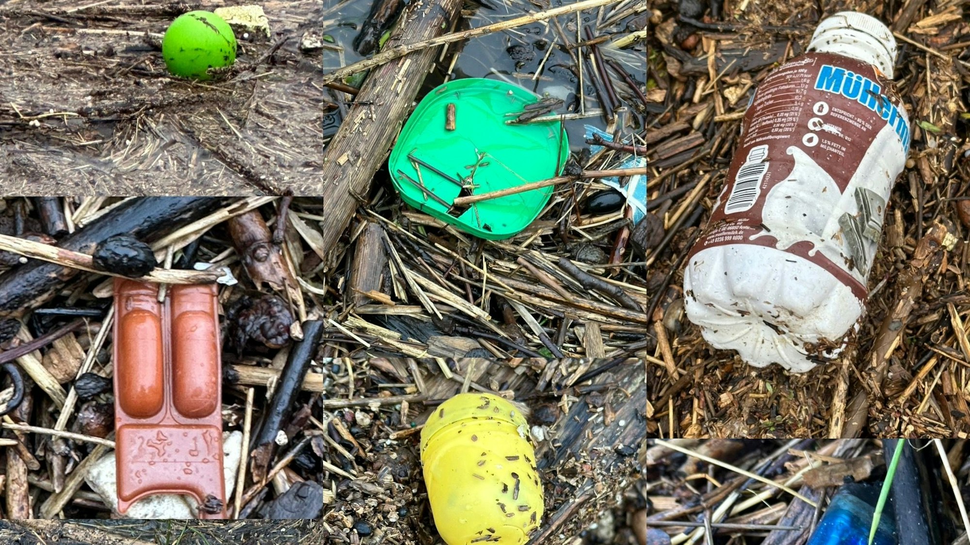 Bälle, Plastikflaschen, Feuerzeuge, Plastikdeckel und vieles mehr findet sich am Ufer des Rheines.