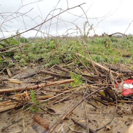 Rote Holzpflöcke künden davon: Bald sollen die Tiefbau-Arbeiten entlang der A61 beginnen. Dort soll ein Gewerbegebiet entstehen, in dem der Sneaker- und Streetwarehändler Snipes und möglicherweise auch ein Hyperscaler eröffnen wollen.