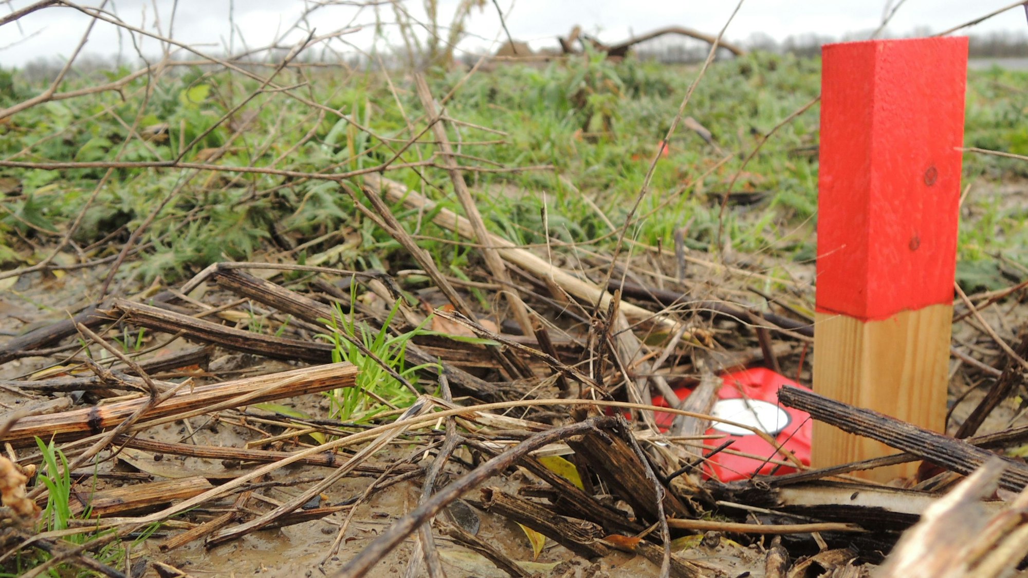 Rote Holzpflöcke künden davon: Bald sollen die Tiefbau-Arbeiten entlang der A61 beginnen. Dort soll ein Gewerbegebiet entstehen, in dem der Sneaker- und Streetwarehändler Snipes und möglicherweise auch ein Hyperscaler eröffnen wollen.